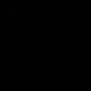 Meet your Posher, Nathalia